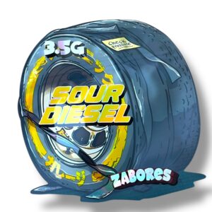 IMG  jpg