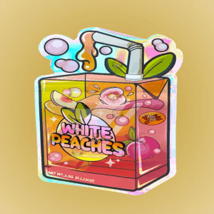 IMG  x x fbce c c  cdca png