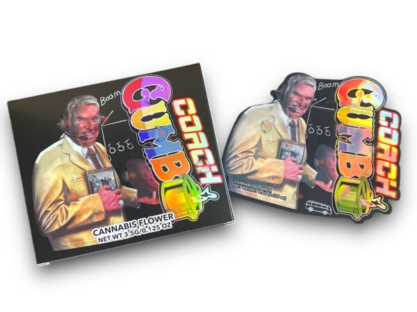 IMG  jpg